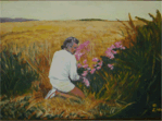 Mendocino Lilies